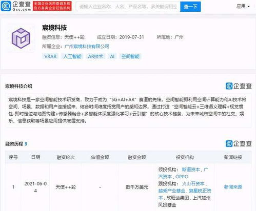 廣告剩余與信息系統集成服務的協同優化